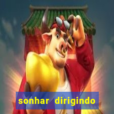 sonhar dirigindo carro jogo do bicho